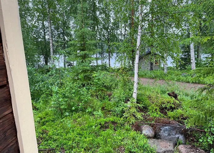 Koivuisenranta Kalmari